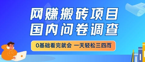网创搬砖项目，国内问卷调查，小白轻松上手，一天三四张的也不难，干就完了【揭秘】-南友云赚