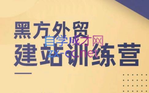 黑方老师·谷歌B端独立站建站推广-南友云赚