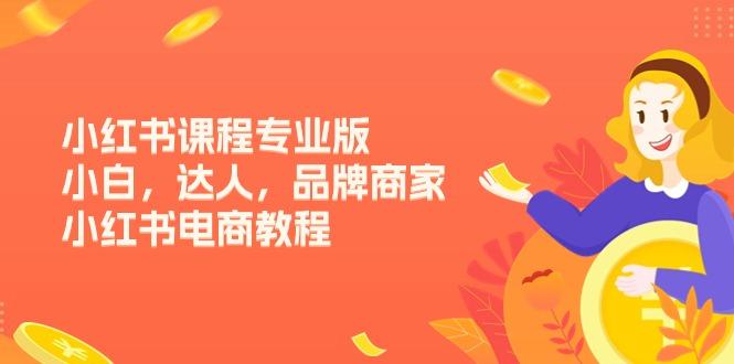 小红书课程专业版，小白，达人，品牌商家，小红书电商教程(15节-南友云赚