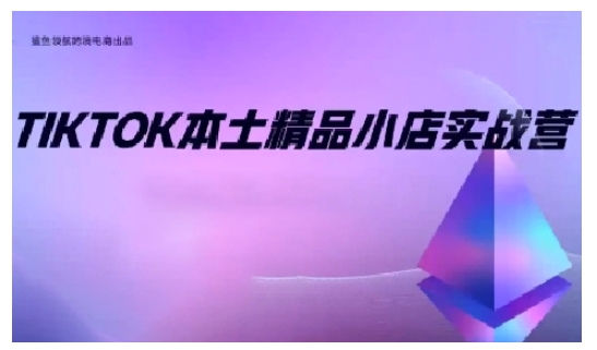 TikTok本土精品小店出海实战营，从入门到高阶，不止0-1!-南友云赚