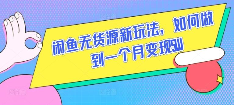 闲鱼无货源新玩法，如何做到一个月变现5W【揭秘】-南友云赚