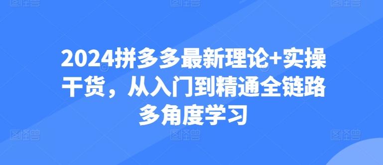 2024拼多多最新理论+实操干货，从入门到精通全链路多角度学习-南友云赚