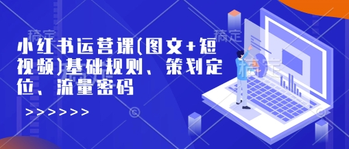 小红书运营课(图文+短视频)基础规则、策划定位、流量密码-南友云赚