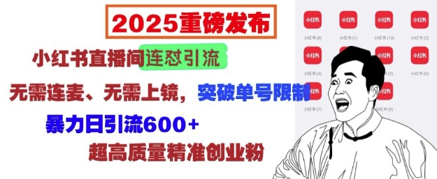2025重磅发布：小红书直播间连怼引流，无需连麦、无需上镜，突破单号限制，暴力日引流600+-南友云赚