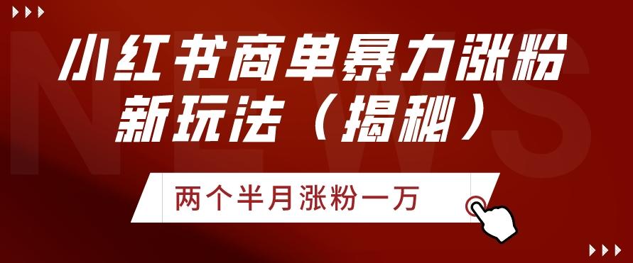 小红书商单暴力涨粉新玩法两个半月涨粉一万（揭秘）-南友云赚