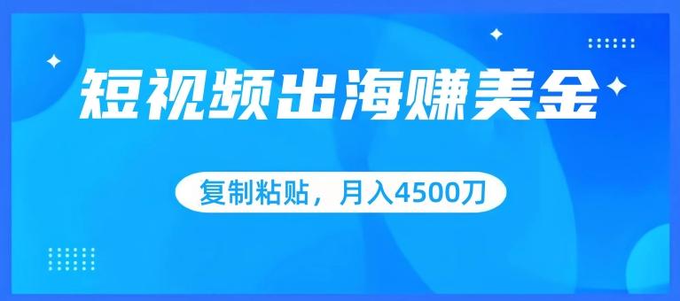 短视频出海赚美金，复制粘贴批量操作，小白轻松掌握，月入4500美刀【揭秘】-南友云赚