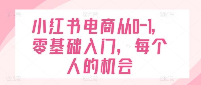 小红书电商从0-1，零基础入门，每个人的机会-南友云赚