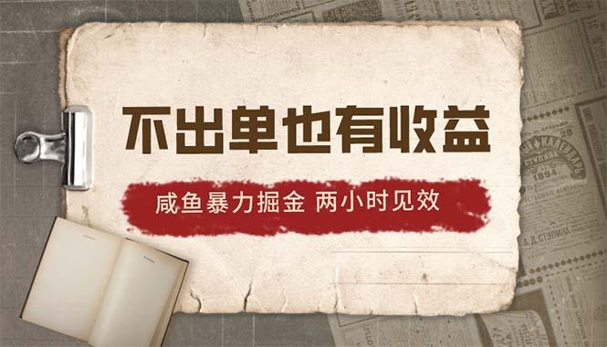 2024咸鱼暴力掘金，不出单也有收益，两小时见效，当天突破500+-南友云赚
