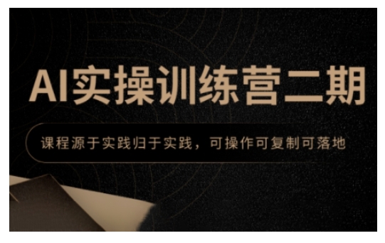 AI实操训练营二期，课程源于实践归于实践，可操作可复制可落地-南友云赚