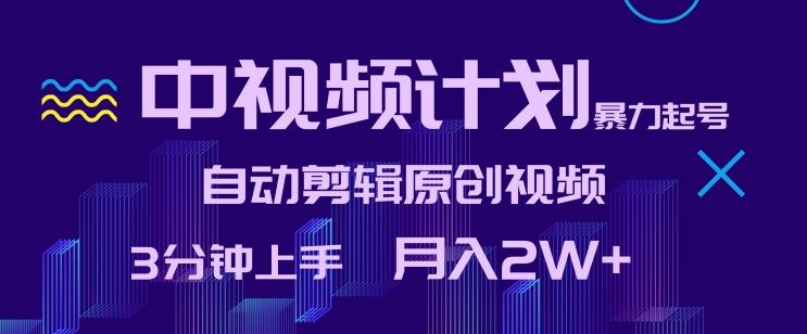中视频计划暴力起号，自动剪辑原创视频，3分钟上手，月入2W+【揭秘】-南友云赚