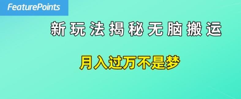 简单操作，每天50美元收入，搬运就是赚钱的秘诀【揭秘】-南友云赚