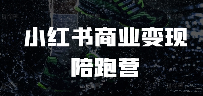 小红书商业变现陪跑营，小红书电商教程-南友云赚