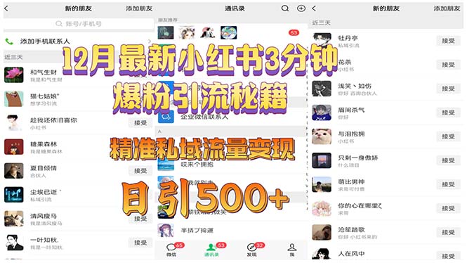 12月最新小红书3分钟爆粉引流秘籍 精准私域流量变现 日引500+-南友云赚