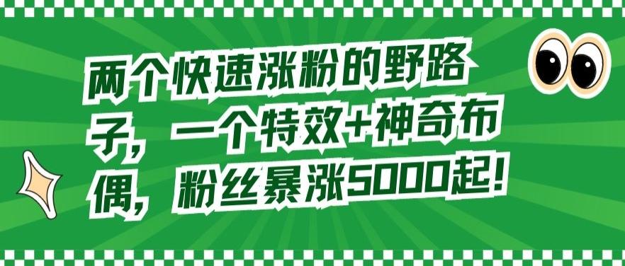 两个快速涨粉的野路子，一个特效+神奇布偶，粉丝暴涨5000起【揭秘】-南友云赚