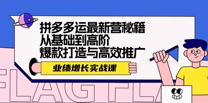 拼多多运最新营秘籍：业绩 增长实战课，从基础到高阶，爆款打造与高效推广-南友云赚