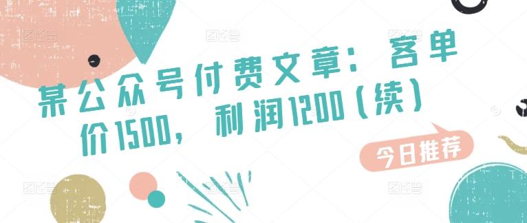 某公众号付费文章：客单价1500，利润1200(续)，市场几乎可以说是空白的-南友云赚