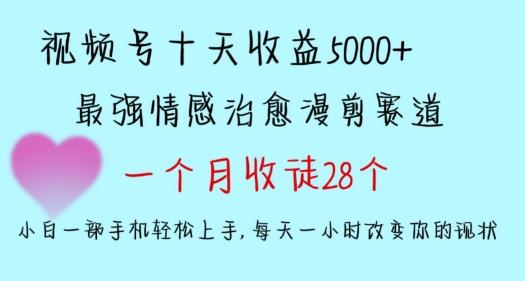 十天收益5000+，多平台捞金，视频号情感治愈漫剪，一个月收徒28个，小白一部手机轻松上手【揭秘】-南友云赚
