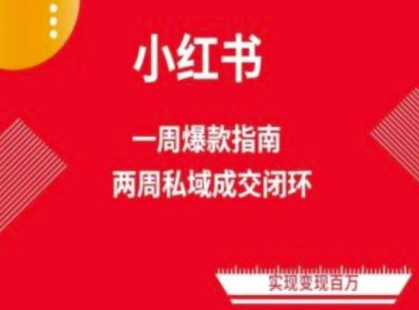 爆款小红书免费流量体系课程(两周变现)，小红书电商教程-南友云赚