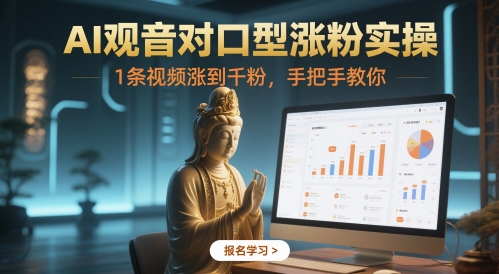 AI观音对口型涨粉实操，1条视频涨到千粉，手把手教你-南友云赚