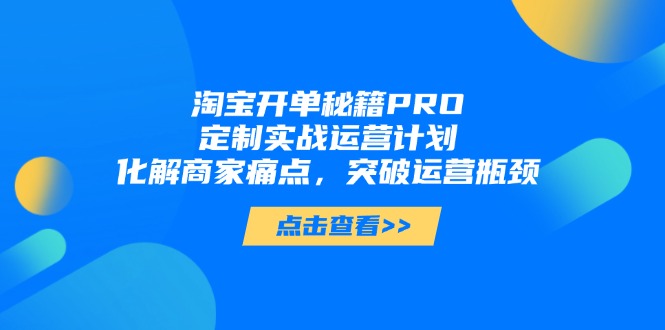 淘宝开单秘籍PRO，定制实战运营计划，化解商家痛点，突破运营瓶颈-南友云赚