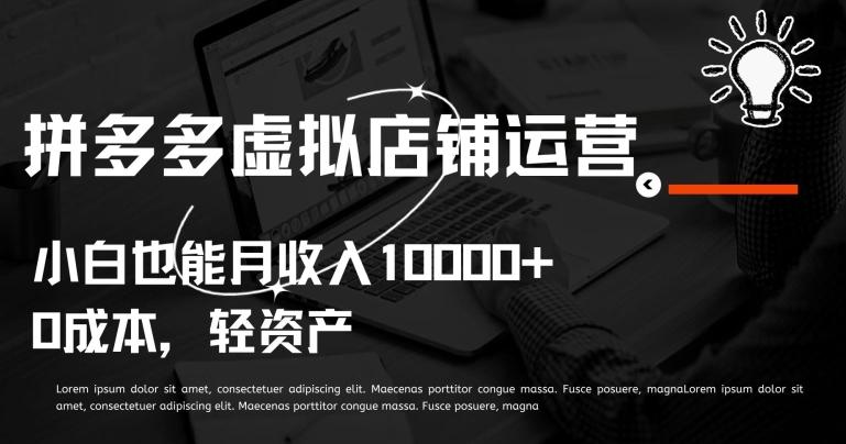 拼多多虚拟店铺运营小白也能月收入10000+【揭秘】-南友云赚