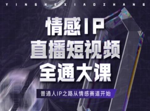 情感IP直播短视频全通大课，普通人IP之路从情感赛道开始-南友云赚