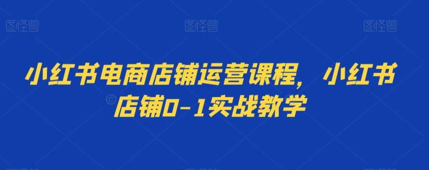 小红书电商店铺运营课程，小红书店铺0-1实战教学-南友云赚