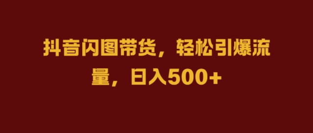 抖音闪图带货，轻松引爆流量，日入几张【揭秘】-南友云赚