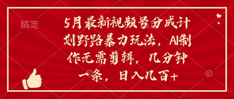 5月最新视频号分成计划野路暴力玩法，ai制作，无需剪辑。几分钟一条，…-南友云赚