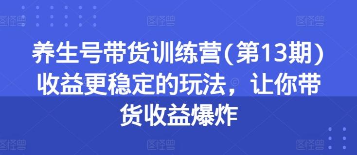养生号带货训练营(第13期)收益更稳定的玩法，让你带货收益爆炸-南友云赚