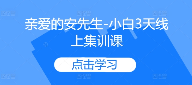 亲爱的安先生-小白3天线上集训课-南友云赚