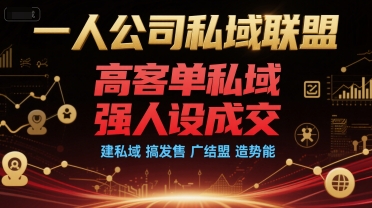 一人公司私域联盟，高客单私域，强人设成交，建私域 搞发售 广结盟 造势能-南友云赚