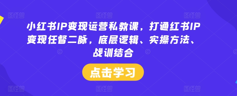 小红书IP变现运营私教课，打通红书IP变现任督二脉，底层逻辑、实操方法、战训结合-南友云赚