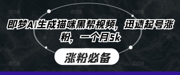 即梦AI生成猫咪黑帮视频，迅速起号涨粉，一个月5k-南友云赚