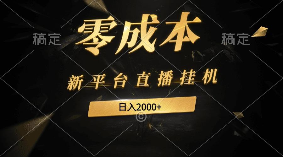 (9841期)新平台直播挂机最新玩法，0成本，不违规，日入2000+-南友云赚