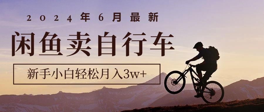 2024年6月最新闲鱼卖自行车，新手小白轻松月入3w+项目-南友云赚