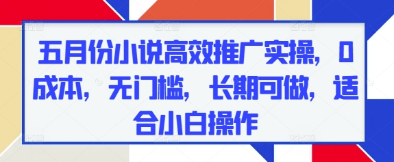 五月份小说高效推广实操，0成本，无门槛，长期可做，适合小白操作-南友云赚