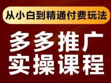 拼多多推广实操课程，从小白到精通付费玩法-南友云赚