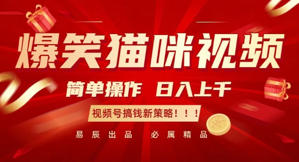 爆笑猫咪视频：简单操作，日入过K，视频号搞钱新策略【揭秘】-南友云赚