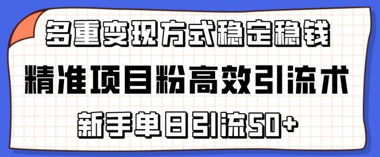 精准项目粉高效引流术，新手单日引流50+，多重变现方式稳定赚钱【揭秘】-南友云赚