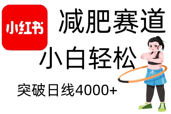 小红书减肥赛道，简单零成本，无需剪辑，不用动脑，小白轻松日利润4000+-南友云赚