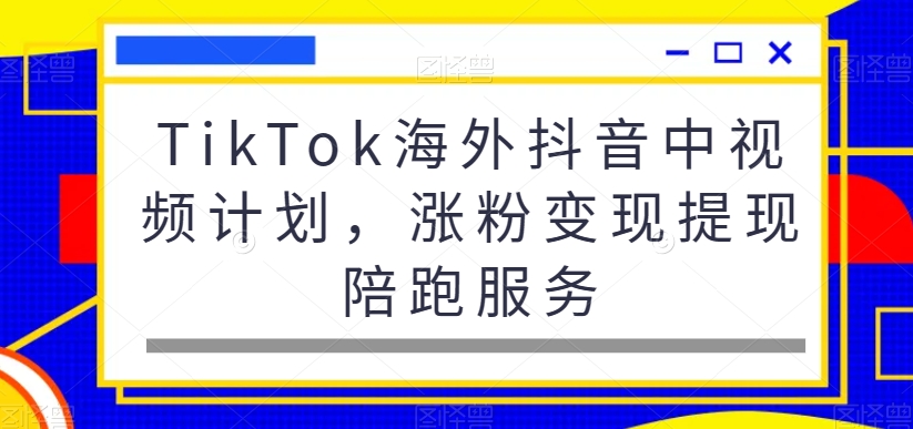 TikTok海外抖音中视频计划，涨粉变现提现陪跑服务-南友云赚