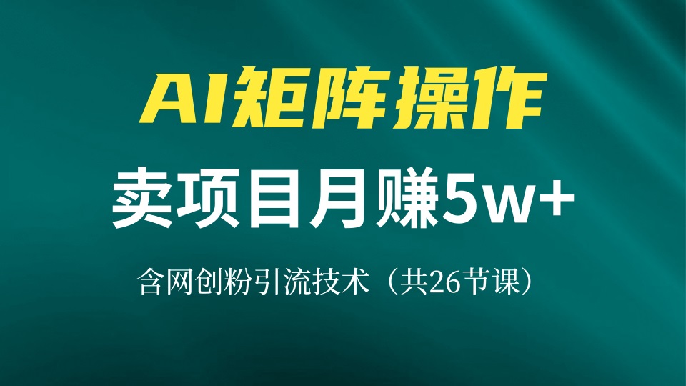 网创IP打造课，借助AI卖项目月赚5万+，含引流技术(共26节课-南友云赚