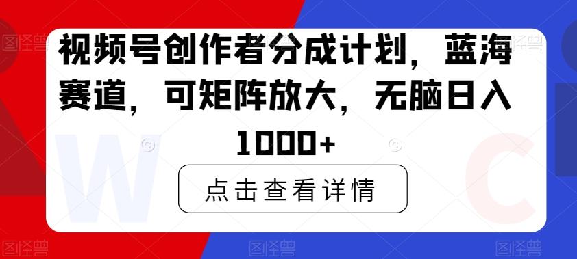 视频号创作者分成计划，蓝海赛道，可矩阵放大，无脑日入1000+-南友云赚