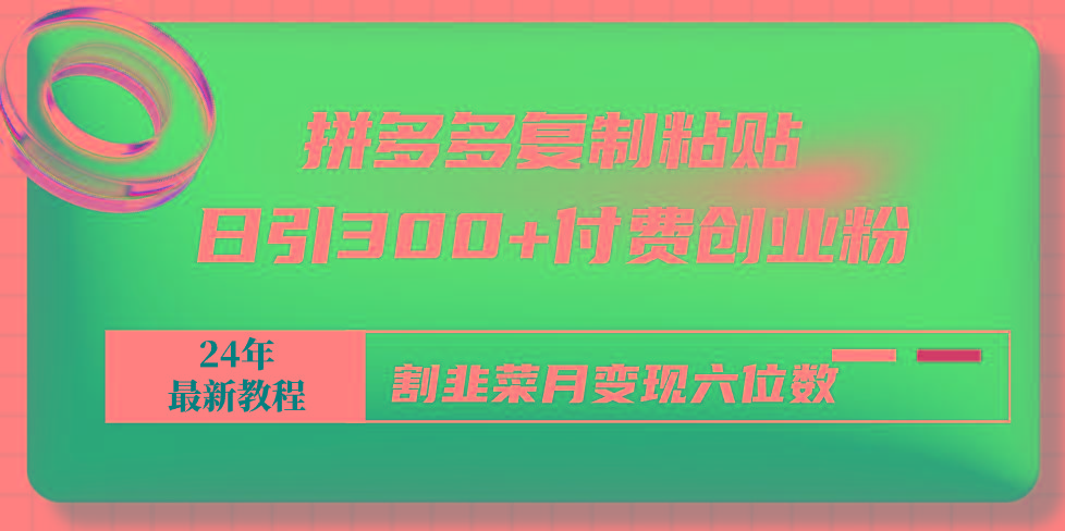 拼多多复制粘贴日引300+付费创业粉，割韭菜月变现六位数最新教程！-南友云赚