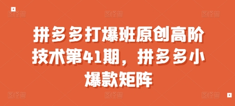 拼多多打爆班原创高阶技术第41期，拼多多小爆款矩阵-南友云赚