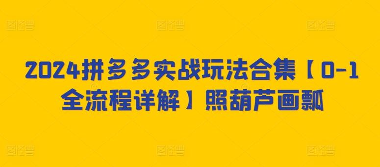 2024拼多多实战玩法合集【0-1全流程详解】照葫芦画瓢-南友云赚