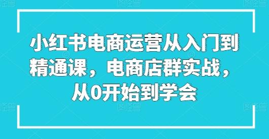 小红书电商运营从入门到精通课，电商店群实战，从0开始到学会-南友云赚