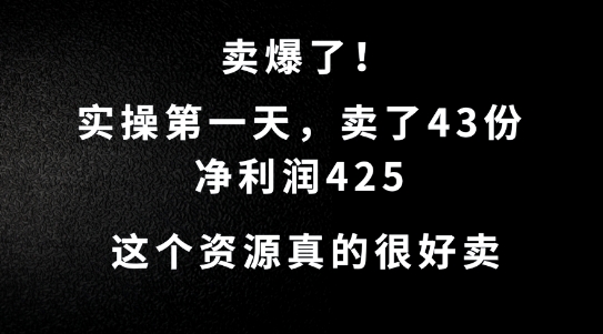 这个资源，需求很大，实操第一天卖了43份，净利润425【揭秘】-南友云赚