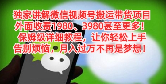 独家讲解微信视频号搬运带货项目，保姆级详细教程-南友云赚